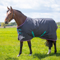 Couverture d'extérieur Original 300 Shires Tempest Couverture d'extérieur Original 300 Shires Tempest