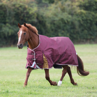 Couverture d'extérieur Plus 100 Shires Highlander Couverture d'extérieur Plus 100 Shires Highlander