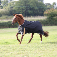 Couverture d'extérieur Plus 200 Shires Highlander Noir Couverture d'extérieur Plus 200 Shires Highlander Noir