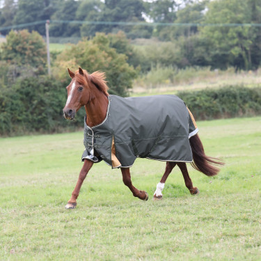 Couverture d'extérieur Plus 50 Shires Highlander Couverture d'extérieur Plus 50 Shires Highlander