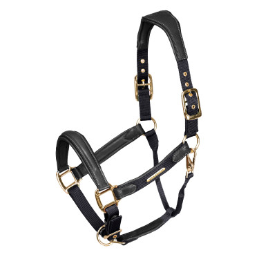 Licol en cuir matelassé Shires Velociti Lusso