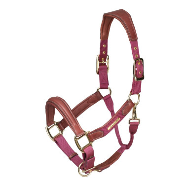 Licol en cuir matelassé Shires Velociti Lusso Bordeaux