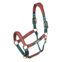 Licol en cuir matelassé Shires Velociti Lusso Vert