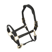 Licol en cuir Soria Control Shires Velociti Lusso