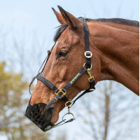 Panier de pâturage Shires Greenguard