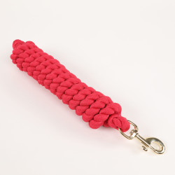 Longe extra-longue Shires Arma