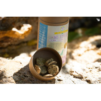 Complément No Stress chien Happy Crackers