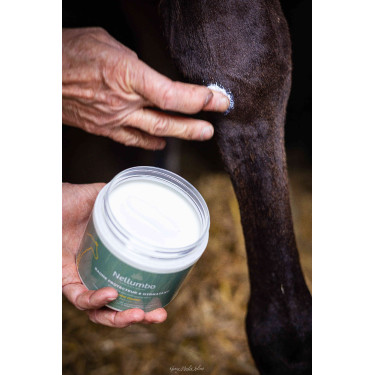Baume protecteur & hydratant Nellumbo