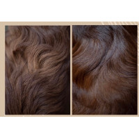Démêlant lustrant Nellumbo chiens et chats