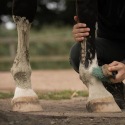 Argile Nellumbo Drainage & détox Argile Nellumbo Drainage & détox