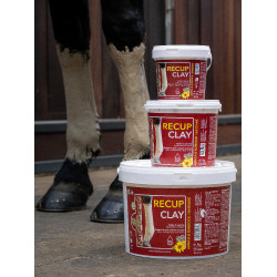 Argile récupération Kevin Bacon's Recup Clay Argile récupération Kevin Bacon's Recup Clay
