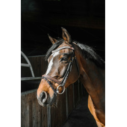 Bridon Norton Pro EK-Paris Havane Marron Bridon Norton Pro EK-Paris Havane Marron