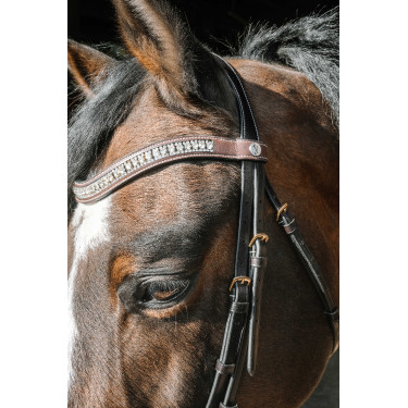 Bridon Norton Pro EK-Paris Havane Marron Bridon Norton Pro EK-Paris Havane Marron