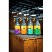 Démêlant Effol SuperStar Shine Orange / gingembre