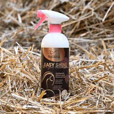 Easy Shine Ravene Démêlant Lustrant Édition Limitée 20 ans Easy Shine Ravene Démêlant Lustrant Édition Limitée 20 ans