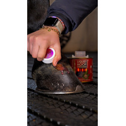 Huile pour sabots Kevin Bacon's Hoof Dressing Liquide paillettes Rose