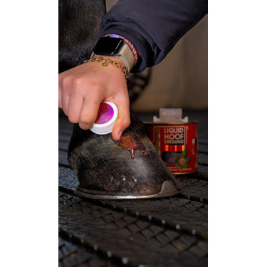 Huile pour sabots Kevin Bacon's Hoof Dressing Liquide paillettes Rose