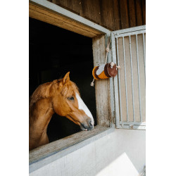 Jouet pour chevaux Hippotonic Abeille Jaune Jouet pour chevaux Hippotonic Abeille Jaune
