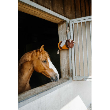 Jouet pour chevaux Hippotonic Abeille Jaune Jouet pour chevaux Hippotonic Abeille Jaune