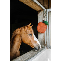 Jouet pour chevaux Hippotonic Pomme Rouge