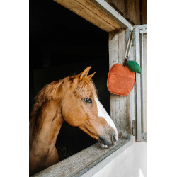 Jouet pour chevaux Hippotonic Pomme Rouge Jouet pour chevaux Hippotonic Pomme Rouge