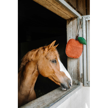 Jouet pour chevaux Hippotonic Pomme Rouge Jouet pour chevaux Hippotonic Pomme Rouge