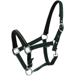 Licol Norton Crystal Vert foncé