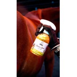 Spray Effol Kids Star-Shine Doré