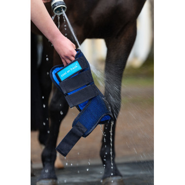 Stable boots cool On Track 2.0 Back On Track