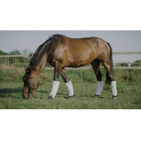 Guêtres Equithème anti-mouches anti-uv par 4 Blanc