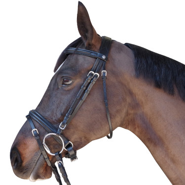Bridon Pull Back Euro Canter Noir Bridon Pull Back Euro Canter Noir