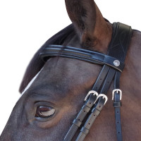Bridon Pull Back Euro Canter Noir Bridon Pull Back Euro Canter Noir