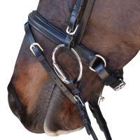 Bridon Pull Back Euro Canter Noir Bridon Pull Back Euro Canter Noir