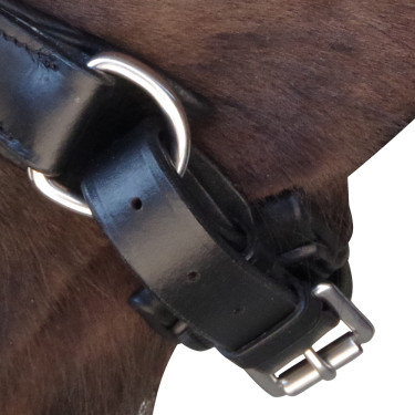 Bridon Pull Back Euro Canter Noir Bridon Pull Back Euro Canter Noir