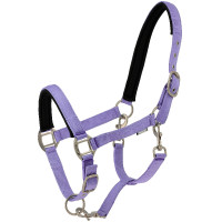 Licol Norton Nacre Lavande Violet