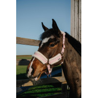 Licol Norton Comfy Rose