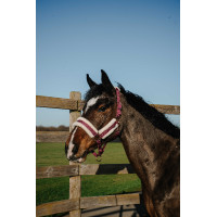 Licol Norton Comfy Bordeaux Licol Norton Comfy Bordeaux
