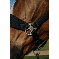 Licol Equithème Breeze