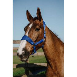 Licol Equithème Breeze Licol Equithème Breeze