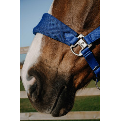 Licol Equithème Breeze Licol Equithème Breeze