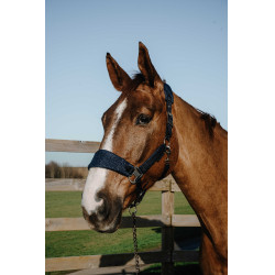 Licol Equithème Breeze Licol Equithème Breeze