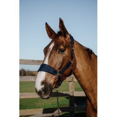 Licol Equithème Breeze Licol Equithème Breeze