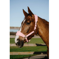 Licol Equithème Breeze Rose