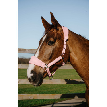 Licol Equithème Breeze Licol Equithème Breeze