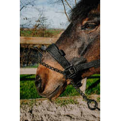 Licol Equithème Control Noir Licol Equithème Control Noir