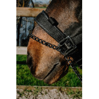 Licol Equithème Control Noir