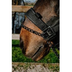 Licol Equithème Control Noir Licol Equithème Control Noir