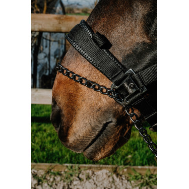 Licol Equithème Control Noir Licol Equithème Control Noir