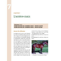 Masser son cheval 2ème édition Edition Vigot