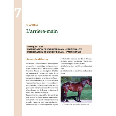 Masser son cheval 2ème édition Edition Vigot